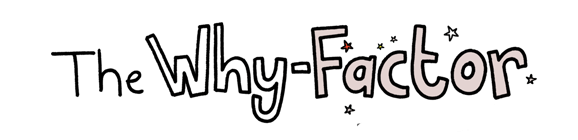 The Why-Factor workshop